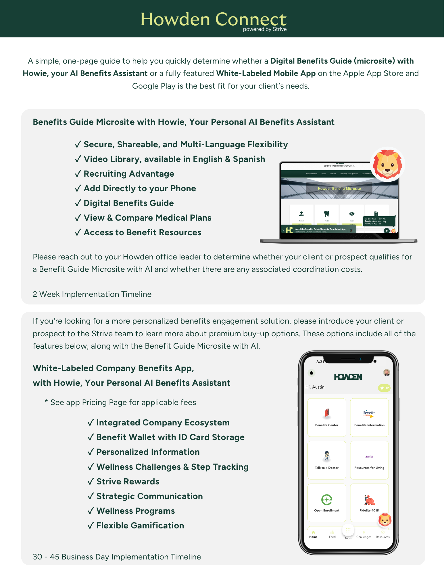 HOWDEN - When to Microsite When to App 32726-2